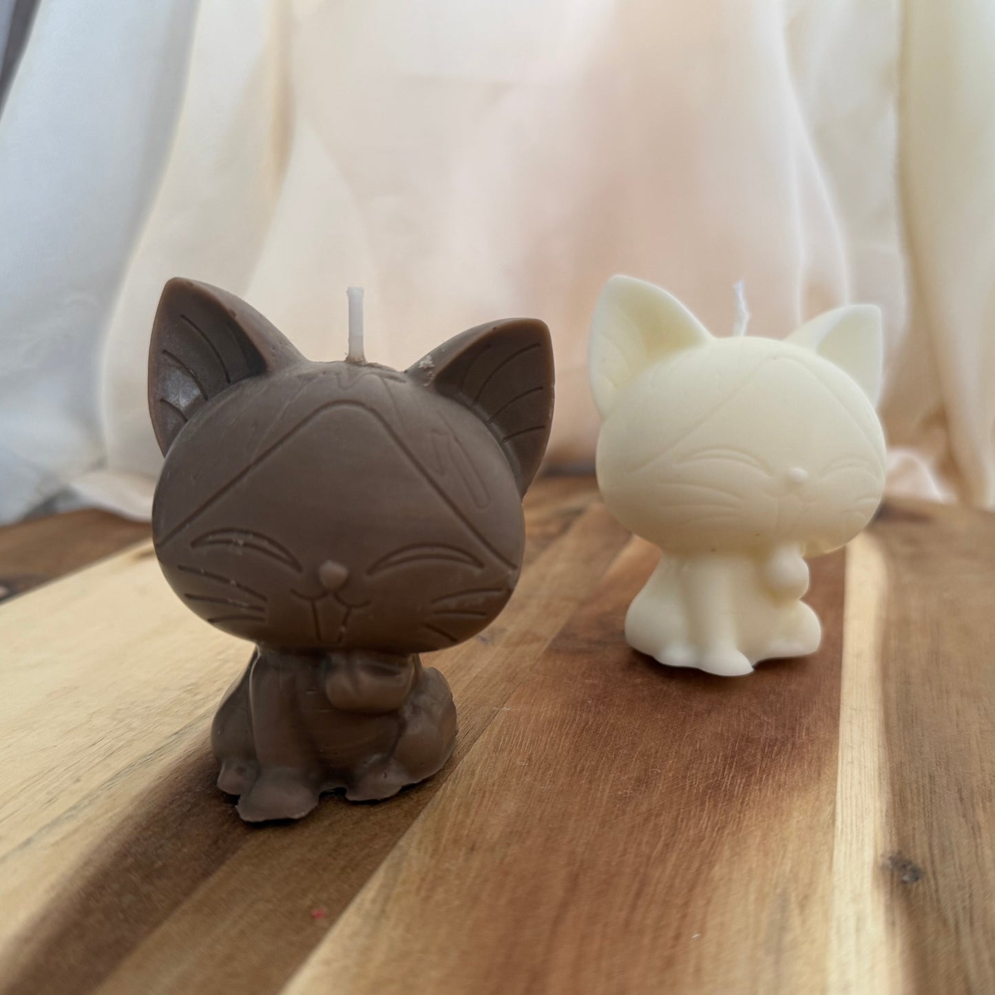 Gato