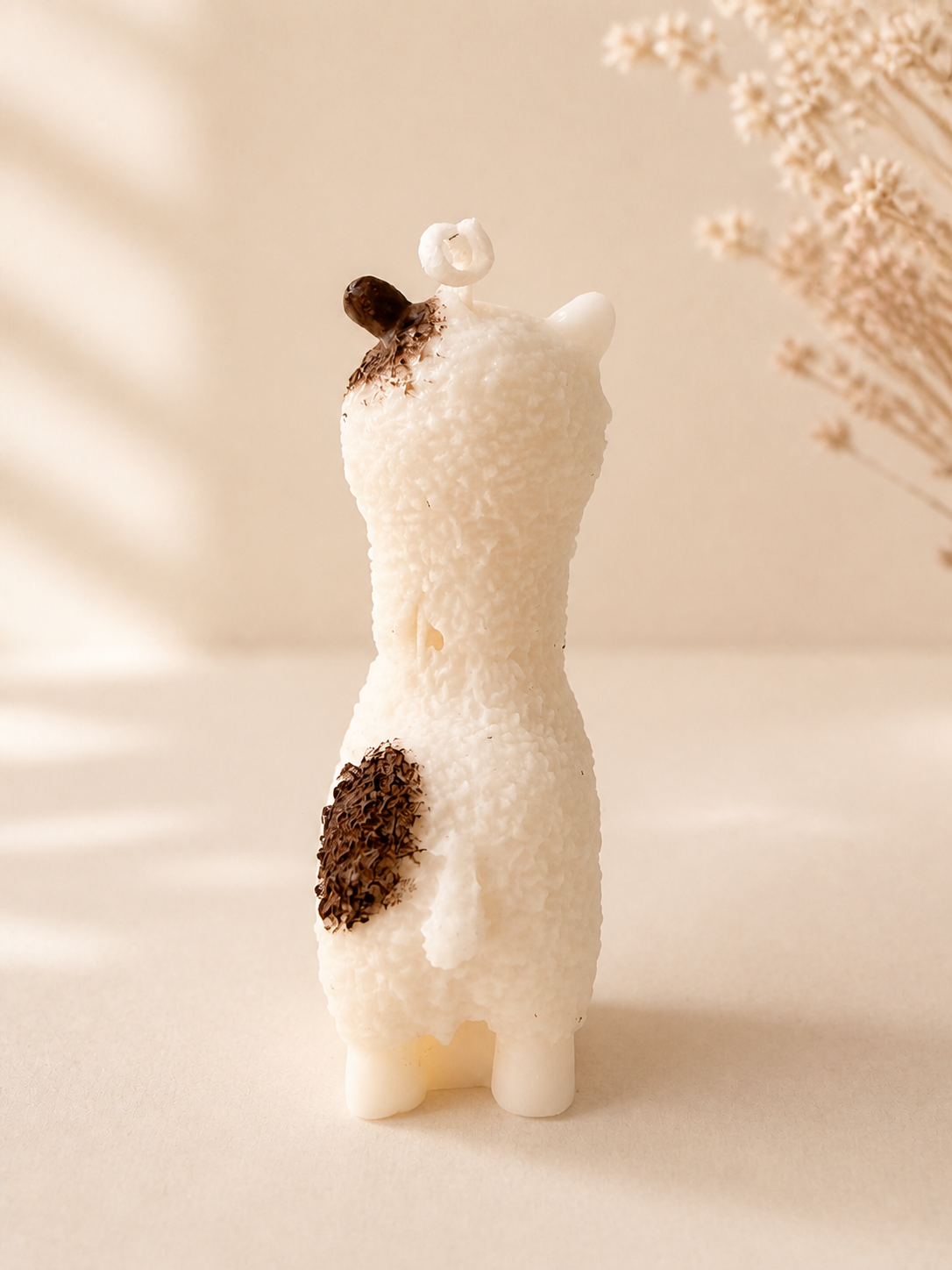 Vela Llama