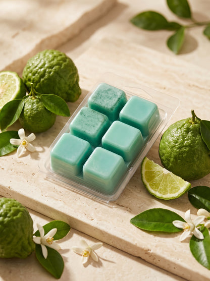 Wax Melts Tableta  - Bergamota