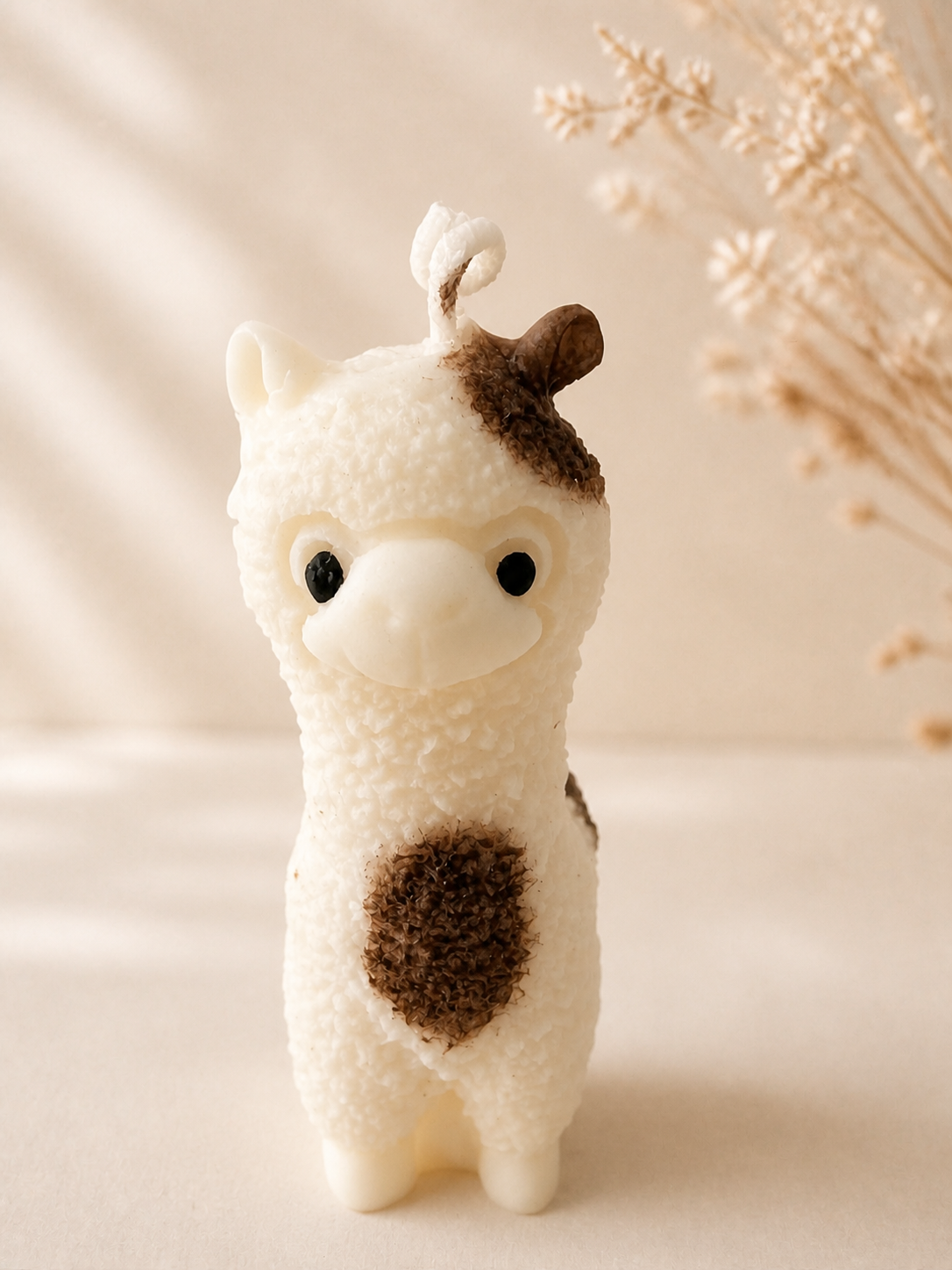 Vela Llama
