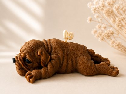 Vela Bulldog